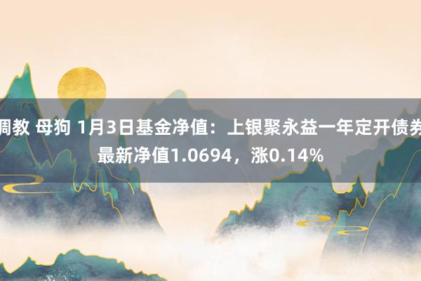 调教 母狗 1月3日基金净值：上银聚永益一年定开债券最新净值1.0694，涨0.14%