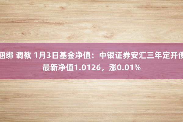 捆绑 调教 1月3日基金净值：中银证券安汇三年定开债最新净值1.0126，涨0.01%