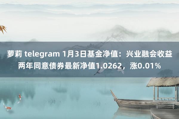 萝莉 telegram 1月3日基金净值：兴业融会收益两年同意债券最新净值1.0262，涨0.01%