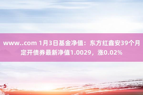 www..com 1月3日基金净值：东方红鑫安39个月定开债券最新净值1.0029，涨0.02%