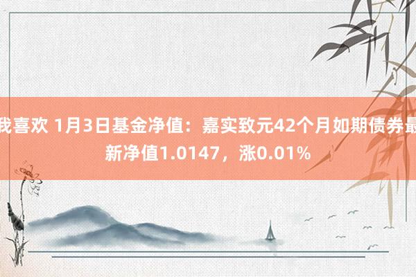 我喜欢 1月3日基金净值：嘉实致元42个月如期债券最新净值1.0147，涨0.01%