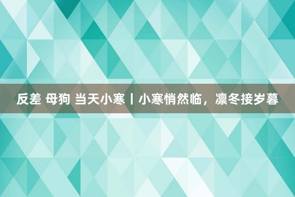 反差 母狗 当天小寒丨小寒悄然临，凛冬接岁暮