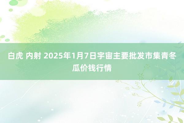 白虎 内射 2025年1月7日宇宙主要批发市集青冬瓜价钱行情