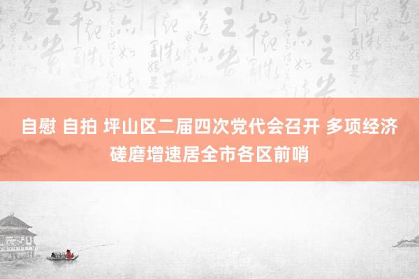 自慰 自拍 坪山区二届四次党代会召开 多项经济磋磨增速居全市各区前哨