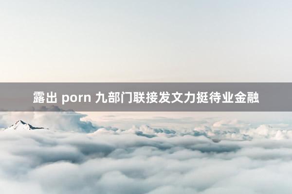 露出 porn 九部门联接发文力挺待业金融