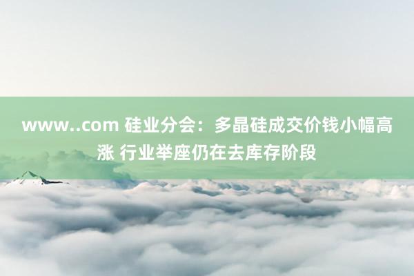 www..com 硅业分会：多晶硅成交价钱小幅高涨 行业举座仍在去库存阶段