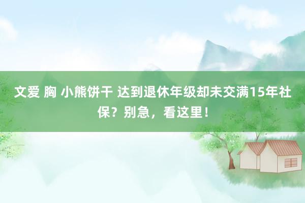 文爱 胸 小熊饼干 达到退休年级却未交满15年社保？别急，看这里！