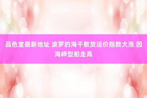 品色堂最新地址 波罗的海干散货运价指数大涨 因海岬型船走高