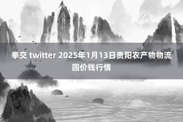 拳交 twitter 2025年1月13日贵阳农产物物流园价钱行情