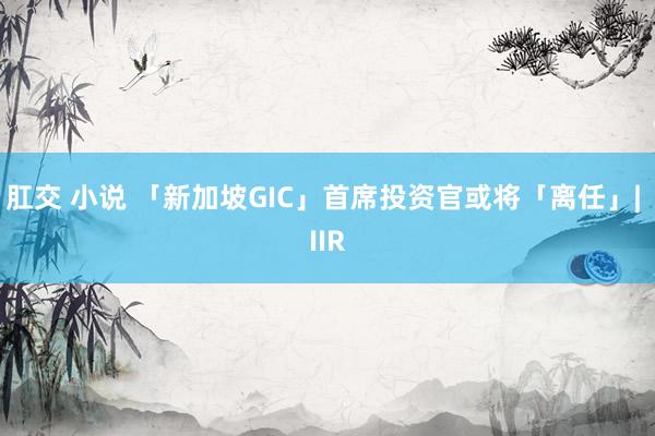 肛交 小说 「新加坡GIC」首席投资官或将「离任」| IIR