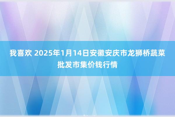 我喜欢 2025年1月14日安徽安庆市龙狮桥蔬菜批发市集价钱行情