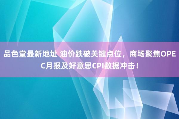 品色堂最新地址 油价跌破关键点位，商场聚焦OPEC月报及好意思CPI数据冲击！